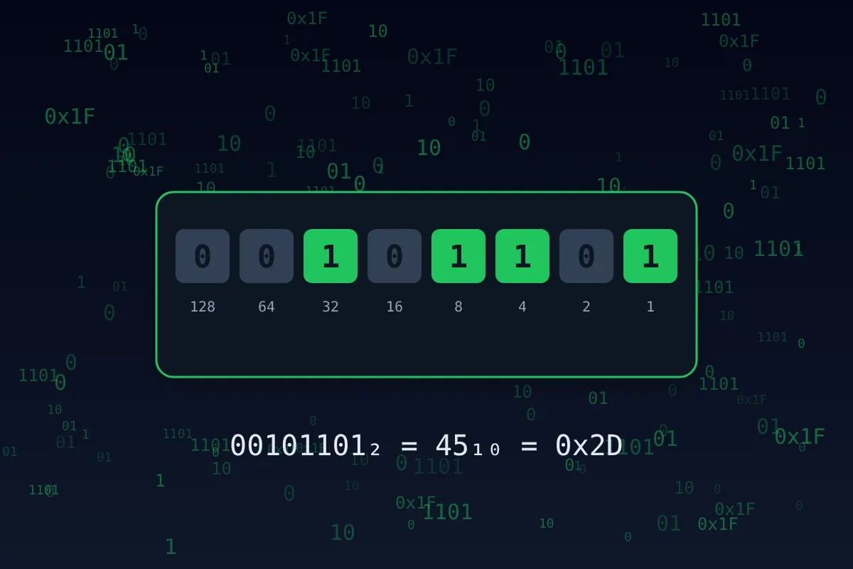 Each binary place is worth double the one to its right: 1, 2, 4, 8, 16 …